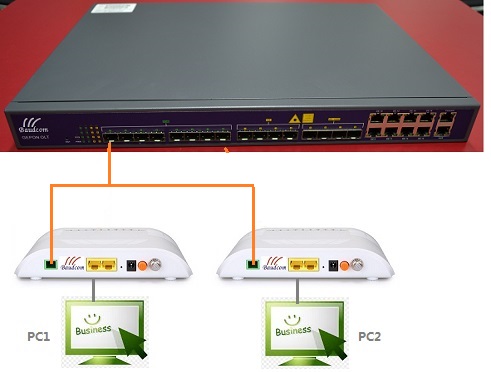 two onu connected to one pon port