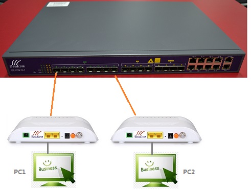 two onu connected to different pon port